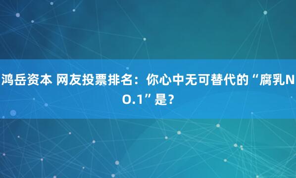 鸿岳资本 网友投票排名：你心中无可替代的“腐乳NO.1”是？