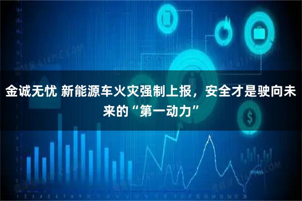 金诚无忧 新能源车火灾强制上报，安全才是驶向未来的“第一动力”